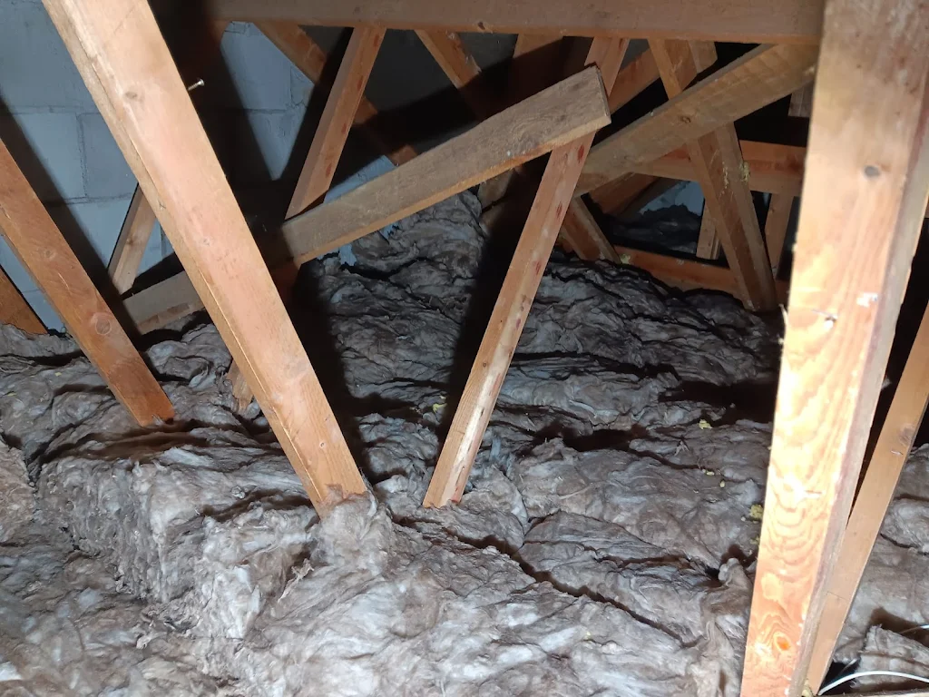 Sharron's Full Insulation Replacement