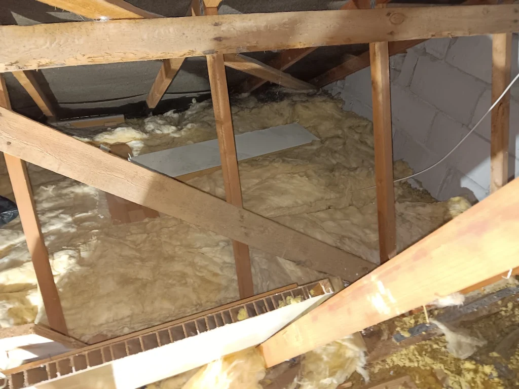 Sharron's Full Insulation Replacement
