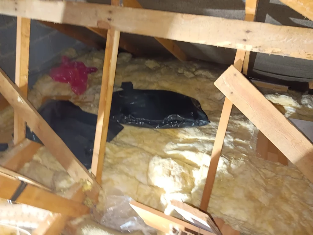 Sharron's Full Insulation Replacement